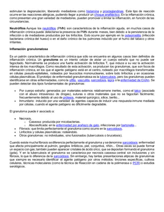 estimulan la degranulación, liberando mediadores como histamina y prostaglandinas. Este tipo de reacción
ocurre en las reacciones alérgicas, pudiendo llegar a producir un choque anafiláctico. En la inflamación crónica,
como presentan una gran variedad de mediadores, pueden promover o limitar la inflamación, en función de las
circunstancias.
Neutrófilos Aunque los neutrófilos (PMN) son característicos de la inflamación aguda, en muchos casos de
inflamación crónica puede detectarse la presencia de PMN durante meses, bien debido a la persistencia de la
infección o de mediadores producidos por los linfocitos. Esto ocurre por ejemplo en la osteomielitis (infección
bacteriana crónica del hueso) o en el daño crónico de los pulmones inducido por el humo del tabaco y otros
irritantes.
Inflamación granulomatosa
Es un patrón característico de inflamación crónica que sólo se encuentra en algunos casos bien definidos de
inflamación crónica. Un granuloma es un intento celular de aislar un cuerpo extraño que no puede ser
fagocitado. Normalmente se produce una fuerte activación de linfocitos T, que induce a su vez la activación
intensa de los macrófagos. Como resultado de esta activación, se producen los granulomas, que son focos de
inflamación crónica, en los que el agente patógeno está en el centro, rodeado por macrófagos transformados
en células pseudo-epiteliales, rodeados por leucocitos mononucleares, sobre todo linfocitos y en ocasiones
células plasmáticas. El prototipo de enfermedad granulomatosa es la tuberculosis, pero los granulomas pueden
identificarse en otras enfermedades, como la sífilis, vasculitis, sarcoidosis, lepra o la enfermedad de Crohn. Se
pueden detectar dos tipos fundamentales de granulomas:
 Por cuerpo extraño: generados por materiales externos relativamene inertes, como el talco (asociado
con el abuso intravenoso de drogas), suturas o otros materiales que no se fagocitan fácilmente;
frecuentemente debido al uso de prótesis, material quirúrgico, sílice, berilio...
 Inmunitario: inducido por una variedad de agentes capaces de inducir una respuesta inmune mediada
por células, cuando el agente patógeno es difícilmente degradable.
El granuloma puede ir asociado a:
 Necrosis.
o Caseosa: producida por micobacterias.
o Abscesificada: en la enfermedad por arañazo de gato, infecciones por bartonella...
 Fibrosis: que limita perfectamente el granuloma como ocurre en la sarcoidosis.
 Linfocitos y células plasmáticas: rodeándolo.
 Otros granulomas: no individuales, sino fusionados (tuberculosis o brucelosis).
Cuando existe mucha fibrosis sediferencia perfectamente el granuloma y sedenomina sarcoidosis:enfermedad
que afecta principalmente al pulmón, ganglios linfáticos, piel, conjuntiva, riñón... Otras veces se puede formar
un espacio con gas; también pueden aparecer cristales de ácido úrico, que se depositan formando el granuloma
(gota). Y en la tuberculosis el granuloma se caracteriza por necrosis caseosa central sin inclusiones y sin
fibrosis, lo que lo diferencia de la sarcoidosis. Sin embargo, hay tantas presentaciones atípicas de granulomas
que siempre es necesario identificar el agente patógeno por otros métodos: tinciones específicas, cultivos
celulares, técnicas moleculares (como la técnica de Reacción en cadena de la polimerasa o PCR) o estudios
serológicos.
 