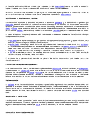 8- Paso de leucocitos (PMN en primer lugar, seguidos por los macrófagos) desde los vasos al intersticio:
migración celular, con formación del infiltrado inflamatorio. Se denomina Diapédesis.
Asimismo, durante la fase de reparación que sigue a la inflamación aguda y durante la inflamación crónica se
produce un fenómeno de proliferación de vasos sanguíneos denominado angiogénesis.
Alteración de la permeabilidad vascular
En condiciones normales el endotelio no permite la salida de proteínas y el intercambio se produce por
pinocitosis. Durante la inflamación, se alteran las bases morfológicas del endotelio por acción de los mediadores
químicos, produciéndose una alteración de las uniones celulares y las cargas negativas de la membrana basal:
Majno y Palade vieron aperturas entre las células que no se encontraban rotas. Generalmente, este efecto se
produce en las vénulas, pero si es muy intenso se alcanza a los capilares y se produce extravasación por rotura.
La salida de líquidos, proteínas y células a partir de la sangre se denomina exudación. Es importante distinguir
los siguientes conceptos:3
 un exudado es un líquido extracelular que contiene alta concentración de proteínas y restos celulares, muy
denso; su presencia implica una reacción inflamatoria;
 un transudado, sin embargo, es un fluido con bajo contenido en proteínas (contiene sobre todo albúmina);
es un ultrafiltrado del plasma debido a la existencia de una diferencia de presión osmótica o hidrostática a
través de la pared de un vaso, sin aumento de la permeabilidad vascular ni proceso inflamatorio;
 un edema es un exceso de líquido en el tejido intersticial, que puede ser un exudado o un transudado;
 el pus es un exudado purulento, un exudado inflamatorio rico en leucocitos (sobre todo PMN), restos de
células muertas y, en muchos casos, microbios.
El aumento de la permeabilidad vascular se genera por varios mecanismos, que pueden producirse
simultáneamente:3
Contracción de las células endoteliales
Es el mecanismo más común, desencadenado por diferentes mediadores, como la histamina, la bradiquinina,
los leucotrienos y la sustancia P, entre otros. Estas sustancias provocan la contracción brusca, por fosforilacion
oxidativa, de los filamentos de actina y miosina de las células endoteliales que se retraen, de forma que los
espacios interendoteliales aumentan. Después el citoesqueleto se reorganiza para mantener la contracción
durante más tiempo. Las sustancias inflamatorias deben disolver la membrana basal de estas aperturas.
Daño endotelial
La necrosis de las células endoteliales provoca su separación de la pared del vaso, creando de esta forma una
apertura en el mismo. Puede producirse en heridas severas, como quemaduras, o por la acción tóxica de
microbios que afectan directamente el endotelio. Los PMN que se adhieren a las células endoteliales también
pueden dañarlas. En este caso, la pérdida de líquido continúa hasta que se forma un trombo o se repara el
daño.
Aumento de la transcitosis
El transporte de fluidos y proteínas a través de las propias células endoteliales (y no entre ellas) puede realizarse
mediante canales que se forman a partir de vacuolas y vesículas no recubiertas interconectadas (denominado
orgánulo vesiculovacuolar). Parece que VEGF estimula el número y el tamaño de estos canales.
Respuestas de los vasos linfáticos
 
