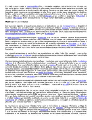 En condiciones normales, el sistema linfático filtra y controla las pequeñas cantidades de líquido extravascular
que se ha perdido en los capilares. Durante la inflamación, la cantidad de líquido extracelular aumenta, y el
sistema linfático participa en la eliminación del edema. Asimismo, en este caso una mayor cantidad de
leucocitos, restos celulares y microbios pasa a la linfa. Como ocurre con los vasos sanguíneos, los linfáticos
también proliferan en los procesos inflamatorios, para atender al incremento de la demanda. Puede ocurrir que
los vasos linfáticos se inflamen de forma secundaria (linfangitis), o que se inflamen los ganglios (linfadenitis), a
causa de la hiperplasia de los folículos linfoides y al mayor número de linfocitos y macrófagos.
Modificaciones leucocitarias
Los leucocitos fagocitan a los patógenos, destruyen a las bacterias y a los microorganismos, y degradan el
tejido necrótico, pero también pueden prolongar la lesión tisular al liberar enzimas, mediadores químicos y
especies reactivas del oxígeno (ERO, o también ROS, por sus siglas en inglés; también denominados radicales
libres de oxígeno, RLO). Los dos grupos de leucocitos más importantes en un proceso de inflamación son los
leucocitos polimorfonucleares neutrófilos (PMN) y los macrófagos.3
El tejido conjuntivo contiene macrófagos y mastocitos, que son células centinelas capaces de reconocer la
presencia de microbios, células muertas o cuerpos extraños. Los macrófagos son los elementos principales en
el inicio del proceso de inflamación, ya que poseen receptores específicos capaces de reconocer microbios y
células muertas. Cuando reconocen estos elementos, los macrófagos producen las citoquinas IL-1 y TNF-α,
que desecadenan la inflamación propiamente dicha actuando sobre las células endoteliales de los vasos
sanguíneos cercanos (sobre todo las vénulas post-capilares), para permitir la migración transendotelial de los
leucocitos.
Los mastocitos reaccionan al estrés físico que se detecta en los tejidos (calor, frío, presión) y producen los
mediadores serotonina e histamina, que son potentes agentes vasoactivos que actúan sobre la contracción y la
permeabilidad de los vasos, tanto arteriales como venosos.
Como consecuencia de la activación de macrófagos y mastocitos, se produce la liberación de los mediadores
químicos de la inflamación. Estos mediadores inducen vasodilatación en la zona afectada, lo que provoca la
salida de líquido de la sangre hacia los tejidos, generando un edema. Por esta razón, la viscosidad de la sangre
aumenta, debido al aumento de concentración de los glóbulos rojos, lo que provoca un descenso en el flujo
sanguíneo (estasis).Enestas condiciones hemodinámicas,los leucocitos se redistribuyen en posición periférica,
un fenómeno denominado marginación. A continuación, los leucocitos ruedan sobre la superficie del endotelio,
estableciendo contactos transitorios con las células endoteliales, soltándose y volviéndose a unir. Finalmente,
los leucocitos se adhieren firmemente al endotelio, antes de iniciar la migración a través de los capilares (ver el
apartado "Diapédesis" de los neutrófilos para un detalle molecular completo).
Los leucocitos que han atravesado los capilares se dirigen hacia la zona afectada por un procesode quimiotaxis.
Una vez allí, fagocitan los microbios y los destruyen, generando la producción de pus. El pus será eliminado
hacia el exterior si la lesión está en contacto con el exterior, o generará un abceso si la zona donde se ha
formado el pus está en el interior de un órgano.
Una vez eliminado el pus (bien de manera natural o por intervención quirúrgica en caso de absceso), los
macrófagos y los linfocitos proceden a la reparación del tejido dañado por la inflamación aguda. El daño tisular
está producido generalmente por los PMN, que son muy numerosos y liberan enzimas hidrolíticas y radicales
libres que dañan los tejidos. La reparación se produce gracias a los macrófagos,que estimulan a los fibroblastos
a sintetizar colágeno y a las células endoteliales a generar nuevos vasos, mediante la secreción de factores de
crecimiento. Sin embargo, la reparación es siempre incompleta, ya que no se recupera la estructura original: las
glándulas y los pelos de la zona no se regeneran.
La naturaleza de los leucocitos infiltrados varia según el momento de la respuesta inflamatoria y el tipo de
estímulo. En la mayor parte de los casos de inflamación aguda, los neutrófilos (PMN) predominan durante las
primeras 6-24h, y luego son reemplazados por monocitos en 24-48h. La rápida aparición de los PMN se debe
a que son más abundantes en la sangre, responden más rápido a las quimioquinas y se adhieren más
fuertemente a las moléculas de adhesión que aparecen en las células endoteliales activadas, como las
 