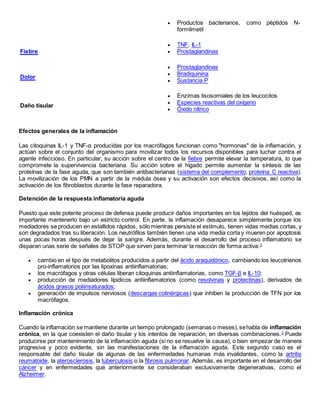  Productos bacterianos, como péptidos N-
formilmetil
Fiebre
 TNF, IL-1
 Prostaglandinas
Dolor
 Prostaglandinas
 Bradiquinina
 Sustancia P
Daño tisular
 Enzimas lisosomiales de los leucocitos
 Especies reactivas del oxígeno
 Óxido nítrico
Efectos generales de la inflamación
Las citoquinas IL-1 y TNF-α producidas por los macrófagos funcionan como "hormonas" de la inflamación, y
actúan sobre el conjunto del organismo para movilizar todos los recursos disponibles para luchar contra el
agente infeccioso. En particular, su acción sobre el centro de la fiebre permite elevar la temperatura, lo que
compromete la supervivencia bacteriana. Su acción sobre el hígado permite aumentar la síntesis de las
proteínas de la fase aguda, que son también antibacterianas (sistema del complemento, proteína C reactiva).
La movilización de los PMN a partir de la médula ósea y su activación son efectos decisivos, así como la
activación de los fibroblastos durante la fase reparadora.
Detención de la respuesta inflamatoria aguda
Puesto que este potente proceso de defensa puede producir daños importantes en los tejidos del huésped, es
importante mantenerlo bajo un estricto control. En parte, la inflamación desaparece simplemente porque los
mediadores se producen en estallidos rápidos, sólo mientras persiste el estímulo, tienen vidas medias cortas, y
son degradados tras su liberación. Los neutrófilos también tienen una vida media corta y mueren por apoptosis
unas pocas horas después de dejar la sangre. Además, durante el desarrollo del proceso inflamatorio se
disparan unas serie de señales de STOP que sirven para terminar la reacción de forma activa:3
 cambio en el tipo de metabolitos producidos a partir del ácido araquidónico, cambiando los leucotrienos
pro-inflamatorios por las lipoxinas antiinflamatorias;
 los macrófagos y otras células liberan citoquinas antiinflamatorias, como TGF-β e IL-10;
 producción de mediadores lípidicos antiinflamatorios (como resolvinas y protectinas), derivados de
ácidos grasos poliinsaturados;
 generación de impulsos nerviosos (descargas colinérgicas) que inhiben la producción de TFN por los
macrófagos.
Inflamación crónica
Cuando la inflamación se mantiene durante un tiempo prolongado (semanas o meses),sehabla de inflamación
crónica, en la que coexisten el daño tisular y los intentos de reparación, en diversas combinaciones.3
Puede
producirse por mantenimiento de la inflamación aguda (si no se resuelve la causa), o bien empezar de manera
progresiva y poco evidente, sin las manifestaciones de la inflamación aguda. Este segundo caso es el
responsable del daño tisular de algunas de las enfermedades humanas más invalidantes, como la artritis
reumatoide, la aterosclerosis, la tuberculosis o la fibrosis pulmonar. Además, es importante en el desarrollo del
cáncer y en enfermedades que anteriormente se consideraban exclusivamente degenerativas, como el
Alzheimer.
 