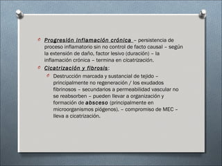 O Progresión inflamación crónica – persistencia de
proceso inflamatorio sin no control de facto causal – según
la extensión de daño, factor lesivo (duración) – la
inflamación crónica – termina en cicatrización.
O Cicatrización y fibrosis:
O Destrucción marcada y sustancial de tejido –
principalmente no regeneración / los exudados
fibrinosos – secundarios a permeabilidad vascular no
se reabsorben – pueden llevar a organización y
formación de absceso (principalmente en
microorganismos piógenos). – compromiso de MEC –
lleva a cicatrización.
 