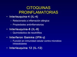 CITOQUINAS 
PROINFLAMATORIAS 
• Interleuquina-4 (IL-4) 
– Relacionada a inflamación alérgica 
– Propiedades antiinflamatorias 
• Interleuquina-8 (IL-8) 
– Quimiotáctico de neutrófilos 
• Interferon Gamma (IFN-g) 
– Función en inmunidad celular contra microbios 
intracelulares 
• Interleuquina 12 (IL-12) 
 