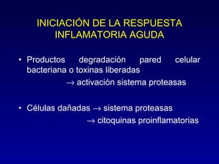 INICIACIÓN DE LA RESPUESTA 
INFLAMATORIA AGUDA 
• Productos degradación pared celular 
bacteriana o toxinas liberadas 
® activación sistema proteasas 
• Células dañadas ® sistema proteasas 
® citoquinas proinflamatorias 
 