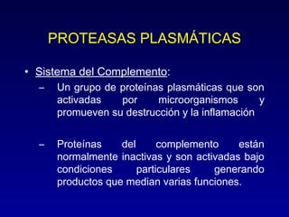 PROTEASAS PLASMÁTICAS 
• Sistema del Complemento: 
– Un grupo de proteínas plasmáticas que son 
activadas por microorganismos y 
promueven su destrucción y la inflamación 
– Proteínas del complemento están 
normalmente inactivas y son activadas bajo 
condiciones particulares generando 
productos que median varias funciones. 
 