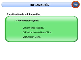 INFLAMACIÓN 
Clasificación de la Inflamación: 
 Inflamación Aguda: 
 Comienza Rápido. 
 Predominio de Neutrófilos. 
 Duración Corta. 
 