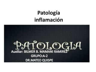 Patología
inflamación
 