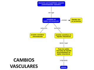 CAMBIOS
VASCULARES
 