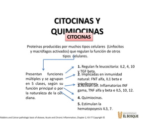 CITOCINAS Y
QUIMIOCINASCITOCINAS
Proteínas producidas por muchos tipos celulares (Linfocitos
y macrófagos activados) que regulan la función de otros
tipos celulares.
Presentan funciones
múltiples y se agrupan
en 5 clases, según su
función principal o por
la naturaleza de la cel.
diana.
1. Regulan fx leucocitaria: IL2, 4, 10
y TGF beta.
2. Implicadas en inmunidad
natural: FNT alfa, IL1 beta e
interferones.3.Activan cel. Inflamatorias INF
gama, TNF alfa y beta e IL5, 10, 12.
4. Quimiocinas.
5. Estimulan la
hematopoyesis IL3, 7.
Robbins and Cotran pathologic basis of disease, Acute and Chronic Inflammation, Chapter 2, 43-77 Copyright ©
 