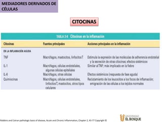 CITOCINAS
MEDIADORES DERIVADOS DE
CÉLULAS
Robbins and Cotran pathologic basis of disease, Acute and Chronic Inflammation, Chapter 2, 43-77 Copyright ©
 