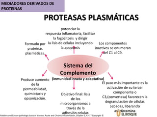 PROTEASAS PLASMÁTICAS
Sistema del
Complemento
(inmunidad innata y adaptativa)
Formado por
proteínas
plasmáticas.
Produce aumento
de la
permeabilidad,
quimiotaxis y
opsonización.
Los componentes
inactivos se enumeran
del C1 al C9.
El paso más importante es la
activación de su tercer
componente o
C3,(convertasa) favorecen la
degranulación de células
cebadas, liberando
así Histamina
Objetivo final: lisis
de los
microorganismos a
través de la
adhesión celular.
Robbins and Cotran pathologic basis of disease, Acute and Chronic Inflammation, Chapter 2, 43-77 Copyright ©
potenciar la
respuesta inflamatoria, facilitar
la fagocitosis y dirigir
la lisis de células incluyendo
la apoptosis
MEDIADORES DERIVADOS DE
PROTEINAS
 