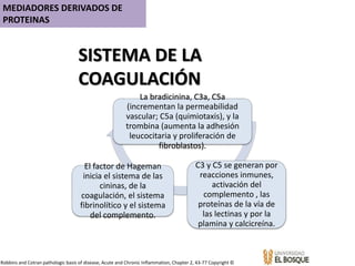 SISTEMA DE LA
COAGULACIÓN
La bradicinina, C3a, C5a
(incrementan la permeabilidad
vascular; C5a (quimiotaxis), y la
trombina (aumenta la adhesión
leucocitaria y proliferación de
fibroblastos).
C3 y C5 se generan por
reacciones inmunes,
activación del
complemento , las
proteínas de la vía de
las lectinas y por la
plamina y calcicreína.
El factor de Hageman
inicia el sistema de las
cininas, de la
coagulación, el sistema
fibrinolítico y el sistema
del complemento.
Robbins and Cotran pathologic basis of disease, Acute and Chronic Inflammation, Chapter 2, 43-77 Copyright ©
MEDIADORES DERIVADOS DE
PROTEINAS
 