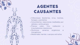 Inflamación y generalidades anatomía patológica | PDF