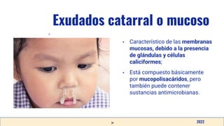 v
Exudados catarral o mucoso
• Característico de las membranas
mucosas, debido a la presencia
de glándulas y células
caliciformes;
• Está compuesto básicamente
por mucopolisacáridos, pero
también puede contener
sustancias antimicrobianas.
2022
 
