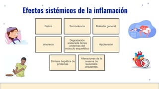 Efectos sistémicos de la inflamación
Fiebre Somnolencia Malestar general
Anorexia
Degradación
acelerada de las
proteínas del
músculo esquelético
Hipotensión
Síntesis hepática de
proteínas
Alteraciones de la
reserva de
leucocitos
circulantes.
 