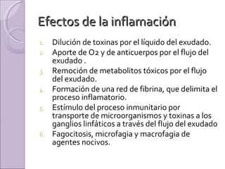 Efectos de la inflamación  Dilución de toxinas por el líquido del exudado. Aporte de O2 y de anticuerpos por el flujo del exudado . Remoción de metabolitos tóxicos por el flujo del exudado. Formación de una red de fibrina, que delimita el proceso inflamatorio. Estímulo del proceso inmunitario por transporte de microorganismos y toxinas a los ganglios linfáticos a través del flujo del exudado Fagocitosis, microfagia y macrofagia de agentes nocivos.  