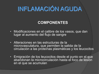 INFLAMACIÓN AGUDACOMPONENTES Modificaciones en el calibre de los vasos, que dan lugar al aumento del flujo de sangre 