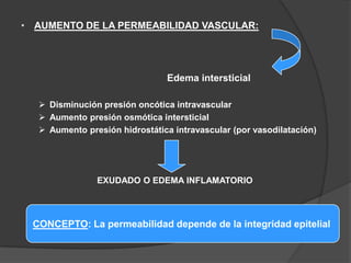 INFLAMACIÓN AGUDAALTERACIONES VASCUALRES CAMBIOS EN EL FLUJO Y EL CALIBRE DE LOS VASOSVasoconstricción transitoria 