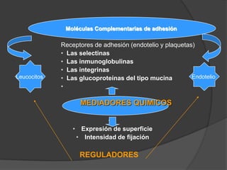 Aumento presión osmótica intersticial 