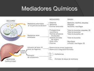 Aumento presión hidrostática intravascular (por vasodilatación)                         EXUDADO O EDEMA INFLAMATORIOCONCEPTO: La permeabilidad depende de la integridad epitelial