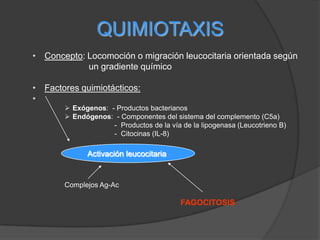 INFLAMACION 					  AGUDAVASOCONSTRICCION VASODILATACIONProstaglandinas Oxido Nítrico HistaminaPERMEABILIDAD VASCULARAminas Vasoactivas C3a y C5a Bradicinina Leucotrienos C4; D4; E4 F.A.P.