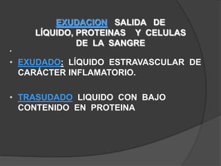 Moléculas Complementarias de adhesiónReceptores de adhesión (endotelio y plaquetas) Las selectinas 