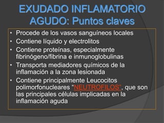 Las inmunoglobulinas 