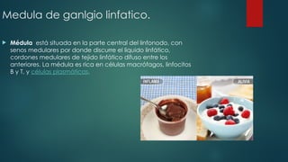 TIPOS DE INFLAMACIÓN - INFLAMACION CRONICA.ppt