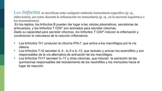 Los linfocitos se movilizan ante cualquier estímulo inmunitario específico (p. ej.,
infecciones), así como durante la inflamación no inmunitaria (p. ej., en la necrosis isquémica o
los traumatismos)
En los tejidos, los linfocitos B pueden dar lugar a las células plasmáticas, secretorias de
anticuerpos, y los linfocitos T CD4* son activados para secretar citocinas.
Dada su capacidad para secretar citocinas, los linfocitos T CD4* inducen la inflamación y
condicionan la naturaleza de la reacción inflamatoria.
• Los linfocitos Th1 producen la citocina IFN-7, que activa a los macrófagos por la vía
clásica.
• Los linfocitos T h2 secretan IL 4 , IL-5 e IL-13, que reclutan y activan los eosinófilos y son
responsables de la vía alternativa de activación de los macrófagos.
• Los linfocitos Th17 secretan IL-17 y otras citocinas, que inducen la secreción de las
quimiocinas responsables del reclutamiento de los neutrófilos y los monocitos hacia el
lugar de reacción.
 