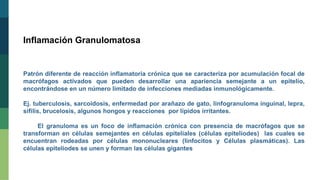 Inflamación Granulomatosa
Patrón diferente de reacción inflamatoria crónica que se caracteriza por acumulación focal de
macrófagos activados que pueden desarrollar una apariencia semejante a un epitelio,
encontrándose en un número limitado de infecciones mediadas inmunológicamente.
Ej. tuberculosis, sarcoidosis, enfermedad por arañazo de gato, linfogranuloma inguinal, lepra,
sífilis, brucelosis, algunos hongos y reacciones por lípidos irritantes.
El granuloma es un foco de inflamación crónica con presencia de macrófagos que se
transforman en células semejantes en células epiteliales (células epiteliodes) las cuales se
encuentran rodeadas por células mononucleares (linfocitos y Células plasmáticas). Las
células epiteliodes se unen y forman las células gigantes
 