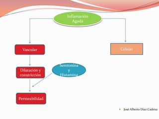 Inflamación
                       Aguda




  Vascular                        Celular



                Serotonina
Dilatación y         y
constricción    Histamina




Permeabilidad

                                     José Alberto Díaz Cadena
 