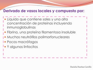 Derivado de vasos locales y compuesto por:

 Líquido que contiene sales y una alta
    concentración de proteínas incluyendo
    inmunoglobulinas
   Fibrina, una proteína filamentosa insoluble
   Muchos neutrófilos polimorfonucleares
   Pocos macrófagos
   Y algunos linfocitos




                                           Daniela Dueñas Carrillo
 