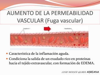 AUMENTO DE LA PERMEABILIDAD
  VASCULAR (Fuga vascular)




 Característica de la inflamación aguda.
 Condiciona la salida de un exudado rico en proteínas
 hacia el tejido extravascular, con formación de EDEMA.

                                    COSIO BENSON GLORIA ADRIANA
 