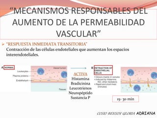 “MECANISMOS RESPONSABLES DEL
    AUMENTO DE LA PERMEABILIDAD
            VASCULAR”
 “RESPUESTA INMEDIATA TRANSITORIA”
 Contracción de las células endoteliales que aumentan los espacios
 interendoteliales.



                                    ACTIVA
                                   Histamina
                                   Bradicinina
                                  Leucotrienos
                                  Neuropéptido
                                   Sustancia P             15- 30 min


                                                 COSIO BENSON GLORIA ADRIANA
 