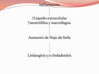 Inflamación


  ↑Liquido extracelular
↑neutrófilos y macrófagos.


Aumento de flujo de linfa



Linfangitis y/o linfadenitis
 