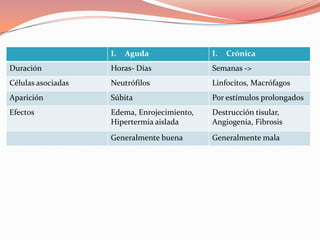 I.   Aguda               I.   Crónica
Duración            Horas- Días              Semanas ->
Células asociadas   Neutrófilos              Linfocitos, Macrófagos
Aparición           Súbita                   Por estímulos prolongados
Efectos             Edema, Enrojecimiento,   Destrucción tisular,
                    Hipertermia aislada      Angiogenia, Fibrosis
                    Generalmente buena       Generalmente mala
 