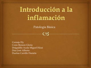 Patología Básica



Cornejo Ely
Cosio Benson Gloria
Delgadillo Ayala Miguel Hizai
Díaz José Alberto
Dueñas Carrillo Daniela
 