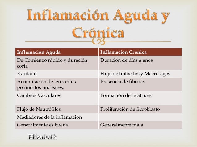Inflamacion- Patologia Basica