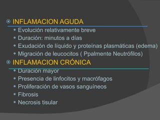 INFLAMACION AGUDA Evolución relativamente breve Duración: minutos a días Exudación de líquido y proteínas plasmáticas (edema) Migración de leucocitos ( Ppalmente Neutrófilos) INFLAMACION CRÓNICA Duración mayor Presencia de linfocitos y macrófagos Proliferación de vasos sanguíneos Fibrosis Necrosis tisular 