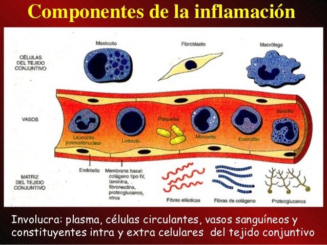 Oktenisept el hongo sobre las uñas