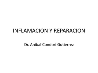INFLAMACION Y REPARACION
Dr. Anibal Condori Gutierrez
 