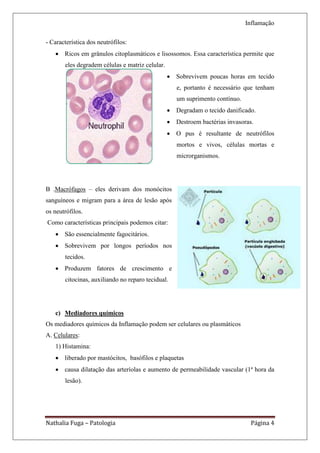 Inflamação

- Característica dos neutrófilos:
    Ricos em grânulos citoplasmáticos e lisossomos. Essa característica permite que
       eles degradem células e matriz celular.
                                                  Sobrevivem poucas horas em tecido
                                                    e, portanto é necessário que tenham
                                                    um suprimento contínuo.
                                                  Degradam o tecido danificado.
                                                  Destroem bactérias invasoras.
                                                  O pus é resultante de neutrófilos
                                                    mortos e vivos, células mortas e
                                                    microrganismos.




B .Macrófagos – eles derivam dos monócitos
sanguíneos e migram para a área de lesão após
os neutrófilos.
Como características principais podemos citar:
    São essencialmente fagocitários.
    Sobrevivem por longos períodos nos
       tecidos.
    Produzem fatores de crescimento e
       citocinas, auxiliando no reparo tecidual.




   c) Mediadores químicos
Os mediadores químicos da Inflamação podem ser celulares ou plasmáticos
A. Celulares:
   1) Histamina:
    liberado por mastócitos, basófilos e plaquetas
    causa dilatação das arteríolas e aumento de permeabilidade vascular (1ª hora da
       lesão).




Nathalia Fuga – Patologia                                                      Página 4
 