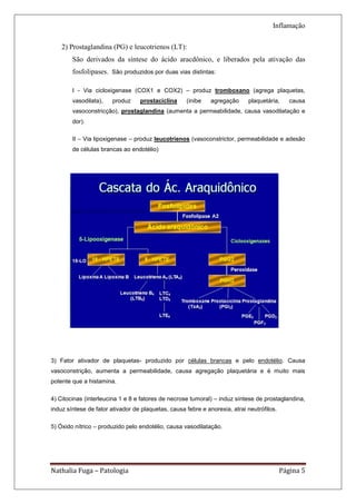 Inflamação

    2) Prostaglandina (PG) e leucotrienos (LT):
        São derivados da síntese do ácido aracdônico, e liberados pela ativação das
        fosfolipases. São produzidos por duas vias distintas:

        I - Via cicloxigenase (COX1 e COX2) – produz tromboxano (agrega plaquetas,
        vasodilata),   produz     prostaciclina     (inibe    agregação     plaquetária,      causa
        vasoconstricção), prostaglandina (aumenta a permeabilidade, causa vasodilatação e
        dor).

        II – Via lipoxigenase – produz leucotrienos (vasoconstrictor, permeabilidade e adesão
        de células brancas ao endotélio)




3) Fator ativador de plaquetas- produzido por células brancas e pelo endotélio. Causa
vasoconstrição, aumenta a permeabilidade, causa agregação plaquetária e é muito mais
potente que a histamina.

4) Citocinas (interleucina 1 e 8 e fatores de necrose tumoral) – induz síntese de prostaglandina,
induz síntese de fator ativador de plaquetas, causa febre e anorexia, atrai neutrófilos.

5) Óxido nítrico – produzido pelo endotélio, causa vasodilatação.




Nathalia Fuga – Patologia                                                                  Página 5
 