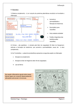 Inflamação

        B. Plasmática

        1) Sistema complemento – é um conjunto de proteínas plasmáticas envolvido na imunidade e
        inflamação.


                                                                            Aumenta a
                                                                             permeabilidade e
                                                                             liberação de histaminas

                                                                            Quimiotático para
                                                                             neutrófilos


                                                                            Induz adesão endotelial


                                                                            Facilita a fagocitose das
                                                                             bactérias pelos
                                                                             neutrófilos

        2) Cininas – são peptídeos – é ativado pelo fator de coagulação XII (fator de Hangeman),
        estimula a formação de bradicinina, que aumenta a permeabilidade, causa dor              e ativa
        complemento.

        3) Via Trombolítica – a plasmina (proteolítica) apresenta os seguintes papéis na inflamação:


               Ativação do complemento


               Ativação do fator de Hageman (fator XII de coagulação)


             Lise da fibrina




Na reação inflamatória aguda todos esses
fatores agem em conjunto desencadeando
alterações estruturais e funcionais.




        Nathalia Fuga – Patologia                                                              Página 6
 