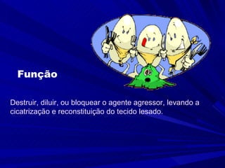 Função

Destruir, diluir, ou bloquear o agente agressor, levando a
cicatrização e reconstituição do tecido lesado.
 