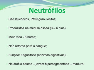 Neutrófilos
o São leucócitos, PMN granulócitos;
o Produzidos na medula óssea (3 – 6 dias);
o Meia vida - 6 horas;
o Não retorna para o sangue;
o Função: Fagocitose (enzimas digestivas);
o Neutrófilo bastão – jovem hipersegmentado – maduro.
 