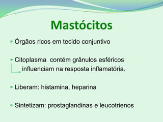 Mastócitos
 Órgãos ricos em tecido conjuntivo
 Citoplasma contém grânulos esféricos
influenciam na resposta inflamatória.
 Liberam: histamina, heparina
 Sintetizam: prostaglandinas e leucotrienos
 