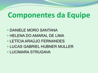 Componentes da Equipe
 DANIELE MORO SANTANA
 HELENA DO AMARAL DE LIMA
 LETÍCIA ARAÚJO FERNANDES
 LUCAS GABRIEL HUBNER MULLER
 LUCIMARA STRUGAVA
 
