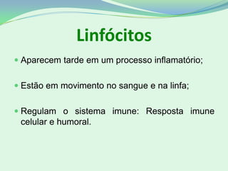 Linfócitos
 Aparecem tarde em um processo inflamatório;
 Estão em movimento no sangue e na linfa;
 Regulam o sistema imune: Resposta imune
celular e humoral.
 