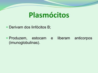Plasmócitos
 Derivam dos linfócitos B;
 Produzem, estocam e liberam anticorpos
(imunoglobulinas).
 