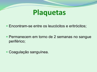 Plaquetas
 Encontram-se entre os leucócitos e eritrócitos;
 Permanecem em torno de 2 semanas no sangue
periférico;
 Coagulação sanguínea.
 